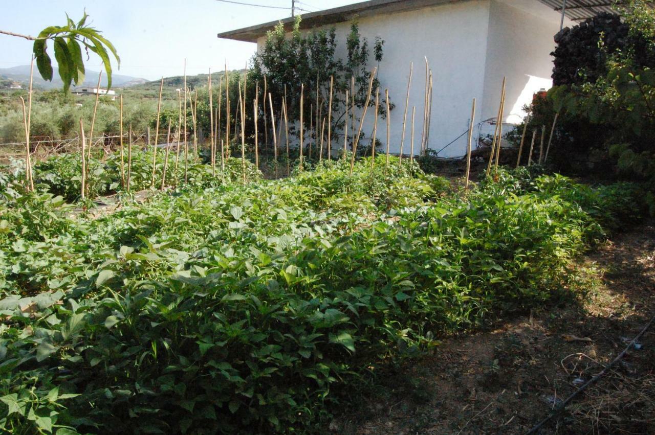 Old Winery House Βίλα Κολυμβάρι Εξωτερικό φωτογραφία